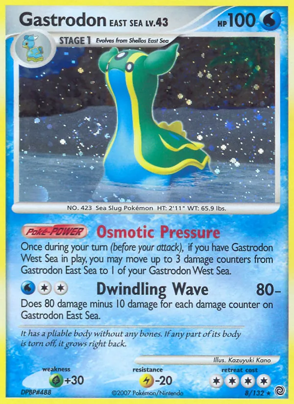 Gastrodon Östliches Meer (Rätselhafte Wunder 008)