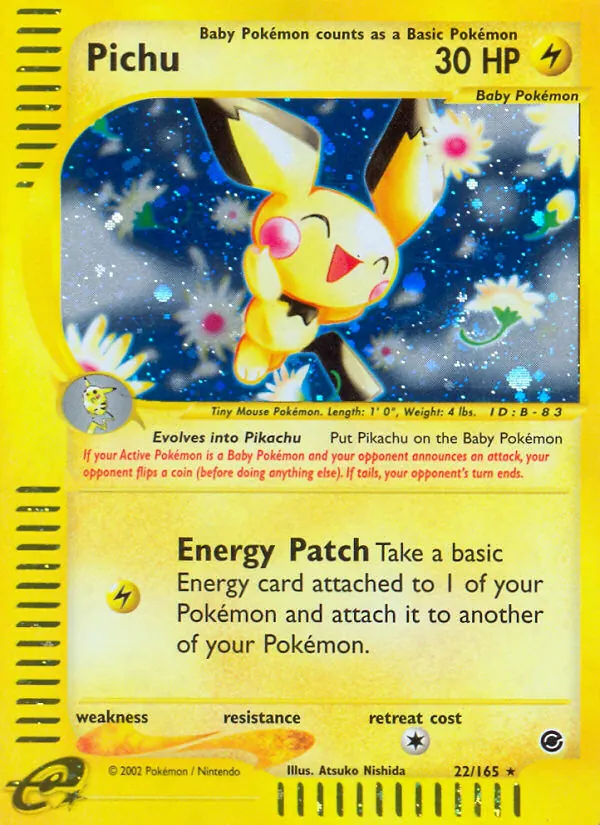 Pichu (Expedition 022)