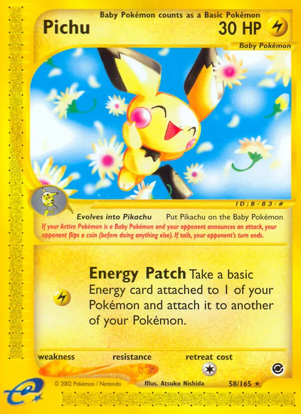 Pichu (Expedition 058)