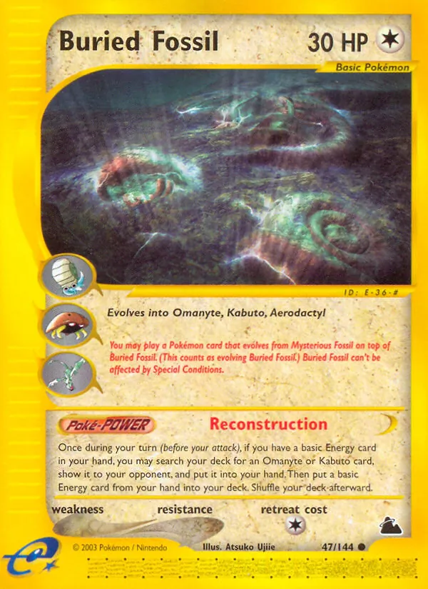 Vergrabenes Fossil (Skyridge 047)