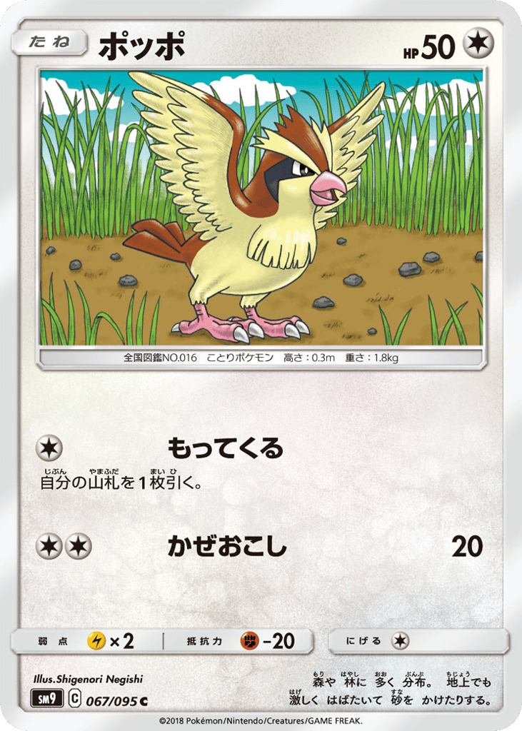 Pidgey (SM9: Tag Bolt 067)