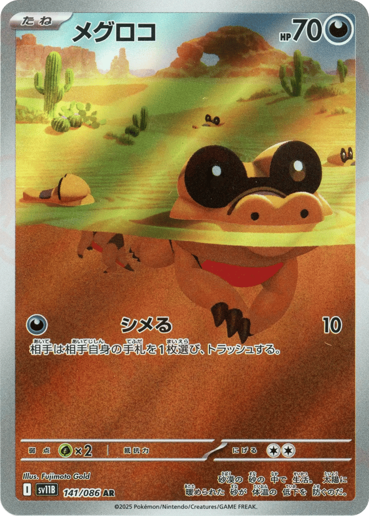 Sandile (SV11B: Black Bolt 141)