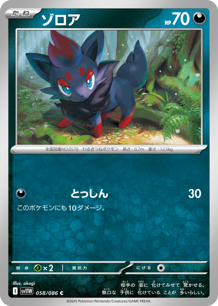 Zorua - 058/086 (Master Ball Pattern) (SV11W: White Flare 058)