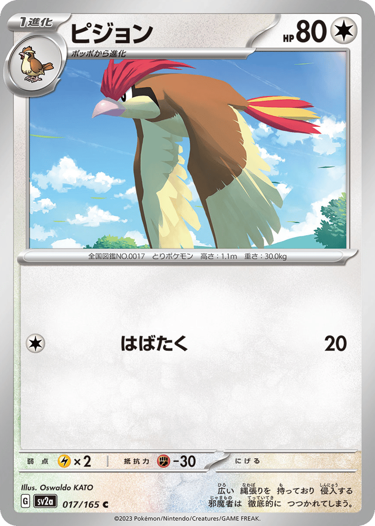 Pidgeotto (Master Ball Pattern) (SV2a: Pokemon Card 151 017)