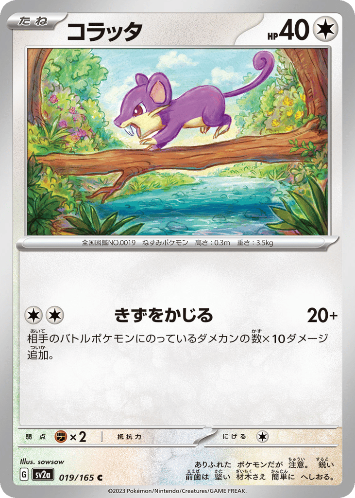 Rattata (Master Ball Pattern) (SV2a: Pokemon Card 151 019)