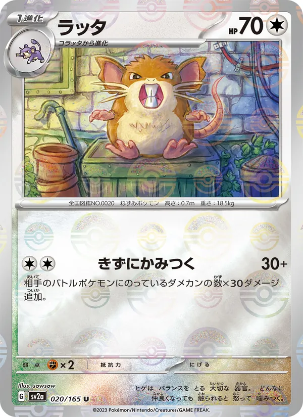 Raticate (SV2a: Pokemon Card 151 020-fdfb27)