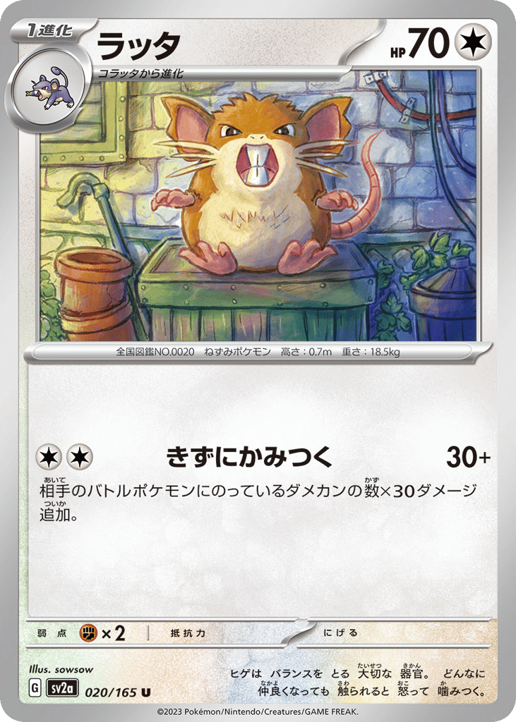 Raticate (Master Ball Pattern) (SV2a: Pokemon Card 151 020)