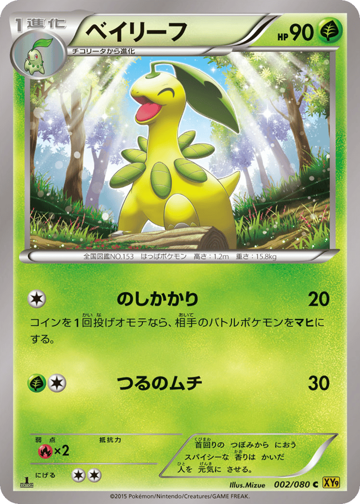 Bayleef (XY9: Rage of the Broken Heavens 002)
