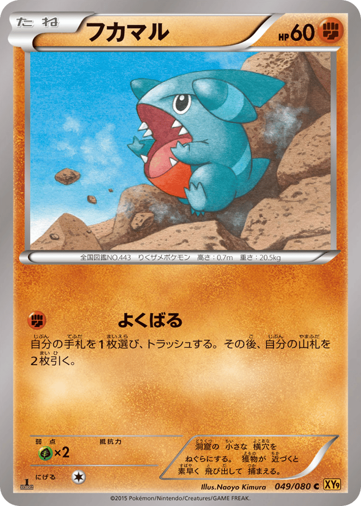 Gible (XY9: Rage of the Broken Heavens 049)