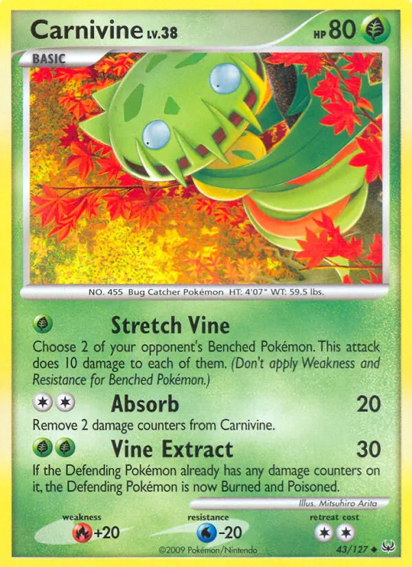 Venuflibis (Platin 043)